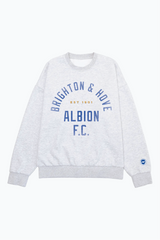 Brighton & Hove Albion F.C. SuperHeavyâ¢ï¸ Crewneck - Ash