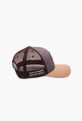 Jasper National Park Dad Cap - Clay / Tan