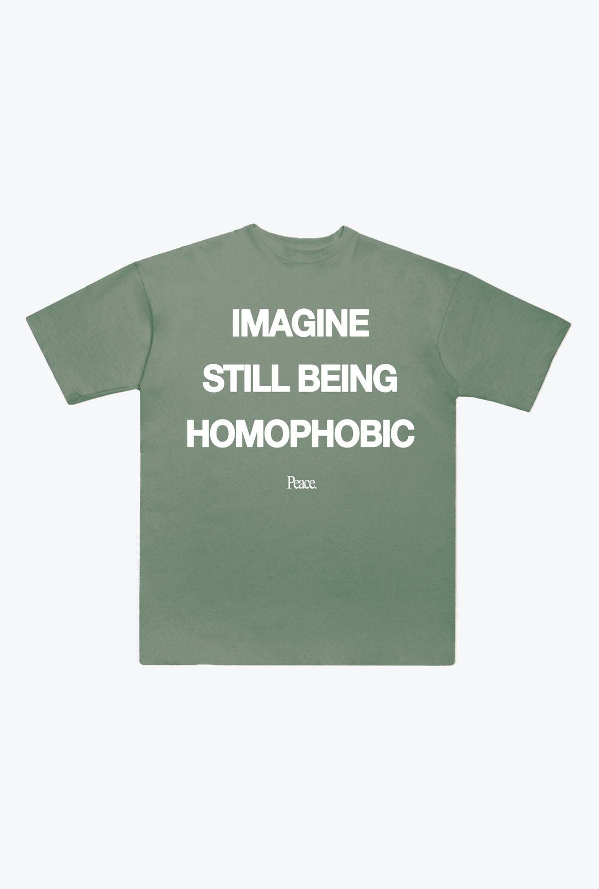Imagine Still Being Homophobic Heavyweight T-Shirt - Sage Green