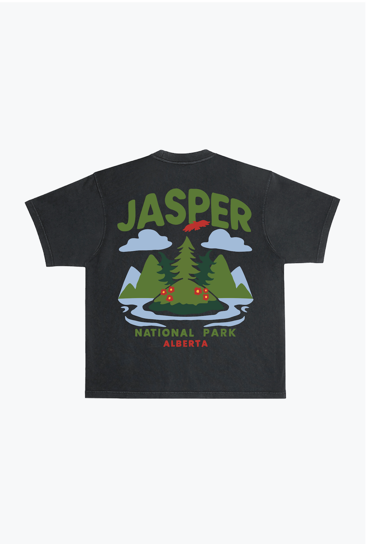 Jasper National Park Heavyweight Garment Dyed T-Shirt - Black